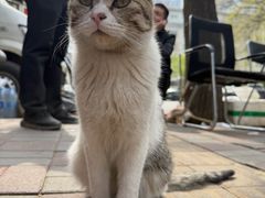 -太二酸菜鱼(石家庄万象城店)