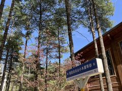 -洛阳白云山景区