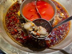 -哥老官重庆美蛙鱼头(圆融广场店)