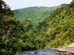 -海南热带雨林国家公园吊罗山景区