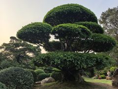 -南宁南湖公园