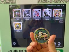 -都江堰中华大熊猫苑
