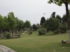 -名树园