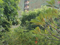 -荔湾区儿童公园