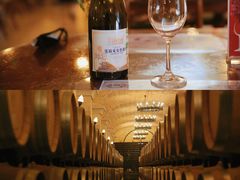 -北京张裕爱斐堡酒庄