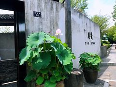 -几荷·恰似故人来(秀水广场店)