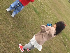 -春花秋色城市公园