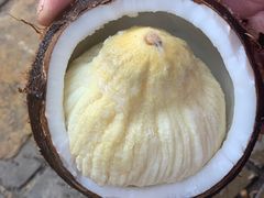 -东郊椰林