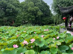 -丝绸小镇荻港古村
