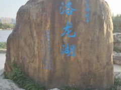 -洛龙公园