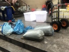 -香坊横道中心市场