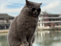 -锦溪古镇