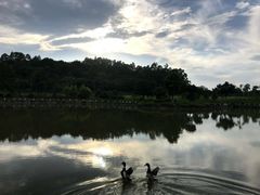 -南国桃园旅游度假区