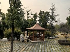 -东湖落雁景区