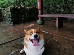 -杭州半山国家森林公园