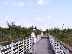 -春花秋色城市公园