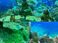 -海合安成都极地海洋公园