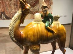 -北京周口店北京人遗址博物馆