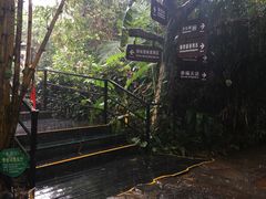 -呀诺达热带雨林
