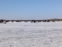 -丁香湖公园
