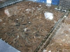 -盒马鲜生(莱蒙都会店)