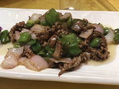 -丁老爷子苏香圆
