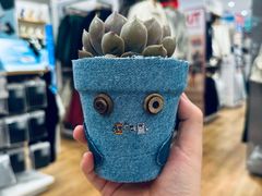 -优衣库(深圳万象天地旗舰店)