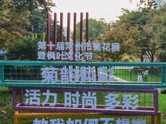 -青枫公园