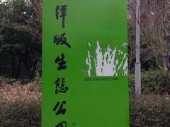 iphone_upload_pic-西湖风景区-江洋畈生态公园