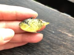 -库塔海滩