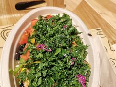 羽衣甘蓝-油梨树AVOCADO TREE(嘉里中心店)