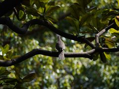 -苏州河梦清园环保主题公园