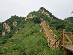 -大岭沟猕猴桃谷风景区