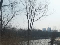 -绿岛公园(滨海新区)