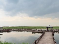 -南大港湿地风景区