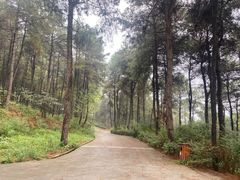 -客乐得玉峰山房车营地