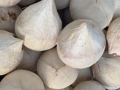 泰国椰子-新鸿港水果市场