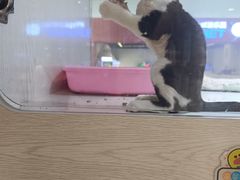 -乐宠宠物店(世纪金源店)