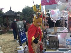 -武汉紫薇都市田园