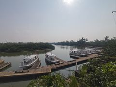 -东寨港红树林旅游区