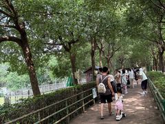 -合肥野生动物园