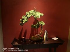 -全聚德(双井店)