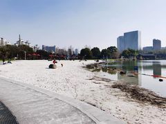 -大宁公园
