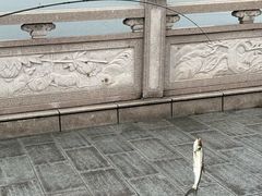 -四明湖