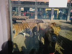 -西安秦岭野生动物园