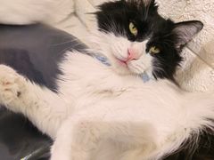 -平行世界·猫咖(首经贸店)