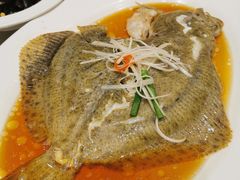 清蒸多宝鱼-东方明珠老上海8号餐厅(东方明珠广播电视塔店)