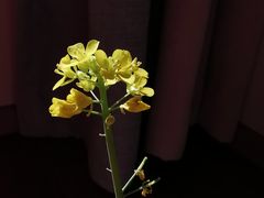 -活鳗饭·鹅肝范儿(高碑店店)