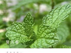 -北科婴幼学苑