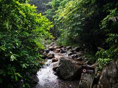 -呀诺达热带雨林
